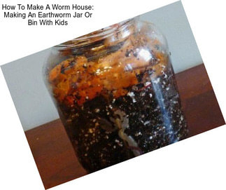 How To Make A Worm House: Making An Earthworm Jar Or Bin With Kids