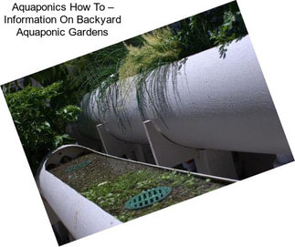 Aquaponics How To – Information On Backyard Aquaponic Gardens