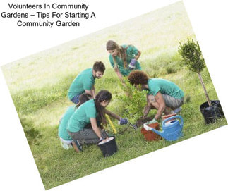 Volunteers In Community Gardens – Tips For Starting A Community Garden