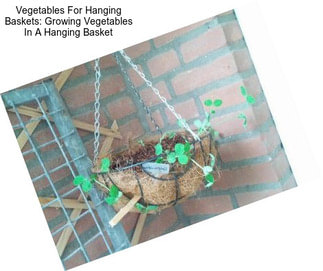 Vegetables For Hanging Baskets: Growing Vegetables In A Hanging Basket