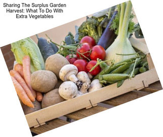 Sharing The Surplus Garden Harvest: What To Do With Extra Vegetables