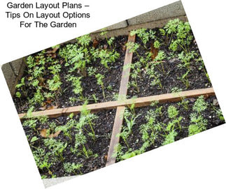 Garden Layout Plans – Tips On Layout Options For The Garden