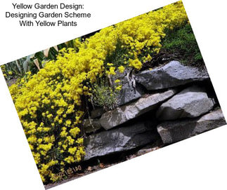 Yellow Garden Design: Designing Garden Scheme With Yellow Plants
