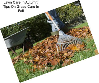 Lawn Care In Autumn: Tips On Grass Care In Fall