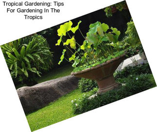 Tropical Gardening: Tips For Gardening In The Tropics