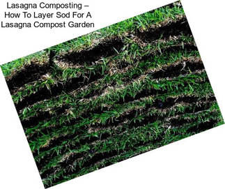 Lasagna Composting – How To Layer Sod For A Lasagna Compost Garden