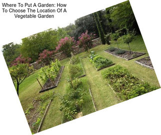 Where To Put A Garden: How To Choose The Location Of A Vegetable Garden