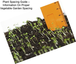 Plant Spacing Guide – Information On Proper Vegetable Garden Spacing