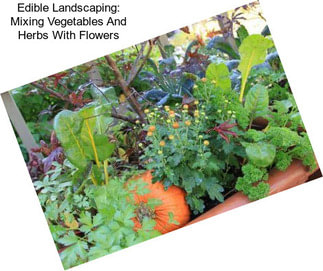 Edible Landscaping: Mixing Vegetables And Herbs With Flowers