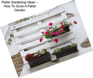 Pallet Gardening Ideas – How To Grow A Pallet Garden