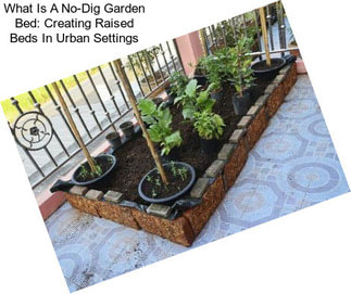 What Is A No-Dig Garden Bed: Creating Raised Beds In Urban Settings