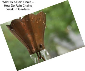 What Is A Rain Chain – How Do Rain Chains Work In Gardens