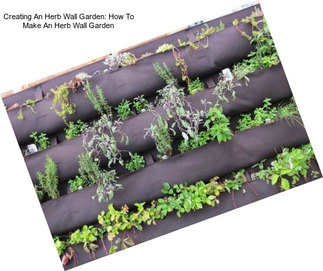 Creating An Herb Wall Garden: How To Make An Herb Wall Garden