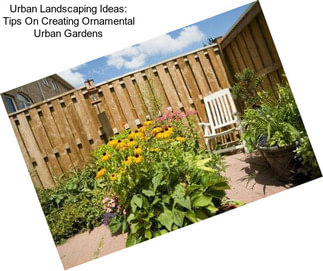 Urban Landscaping Ideas: Tips On Creating Ornamental Urban Gardens