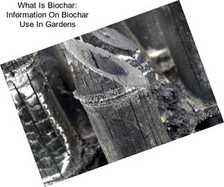 What Is Biochar: Information On Biochar Use In Gardens