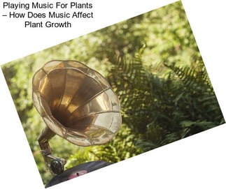 Playing Music For Plants – How Does Music Affect Plant Growth