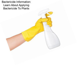 Bactericide Information: Learn About Applying Bactericide To Plants