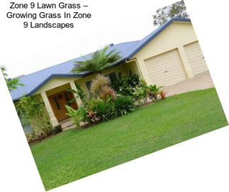 Zone 9 Lawn Grass – Growing Grass In Zone 9 Landscapes