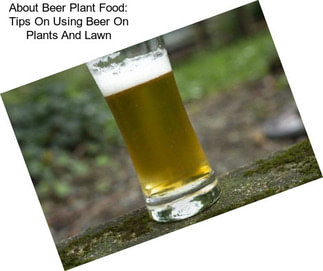 About Beer Plant Food: Tips On Using Beer On Plants And Lawn