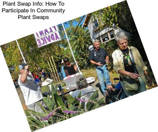 Plant Swap Info: How To Participate In Community Plant Swaps