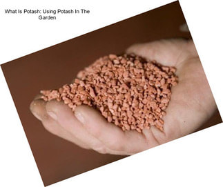 What Is Potash: Using Potash In The Garden