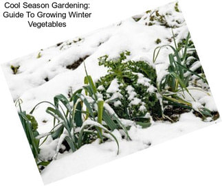 Cool Season Gardening: Guide To Growing Winter Vegetables