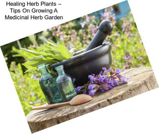 Healing Herb Plants – Tips On Growing A Medicinal Herb Garden