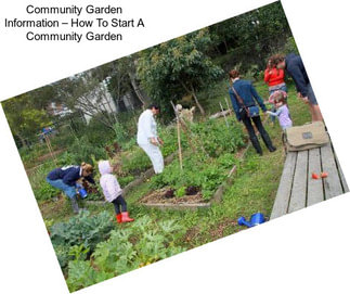 Community Garden Information – How To Start A Community Garden