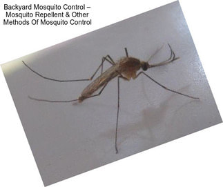 Backyard Mosquito Control – Mosquito Repellent & Other Methods Of Mosquito Control