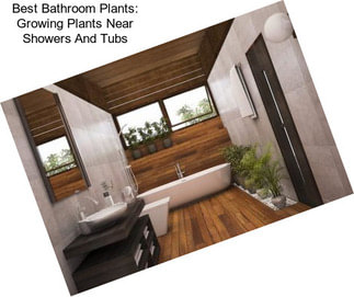 Best Bathroom Plants: Growing Plants Near Showers And Tubs