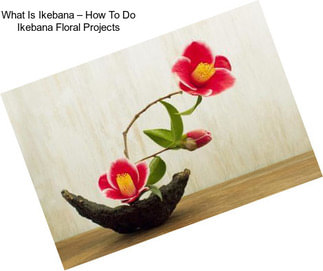 What Is Ikebana – How To Do Ikebana Floral Projects