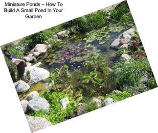 Miniature Ponds – How To Build A Small Pond In Your Garden
