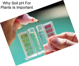 Why Soil pH For Plants Is Important