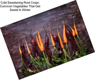 Cold Sweetening Root Crops: Common Vegetables That Get Sweet In Winter