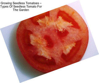 Growing Seedless Tomatoes – Types Of Seedless Tomato For The Garden