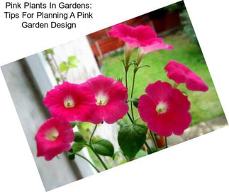 Pink Plants In Gardens: Tips For Planning A Pink Garden Design