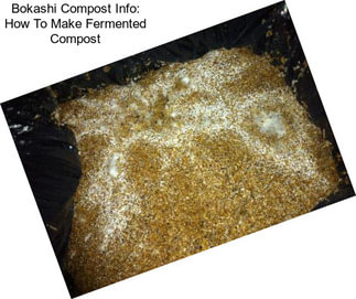 Bokashi Compost Info: How To Make Fermented Compost