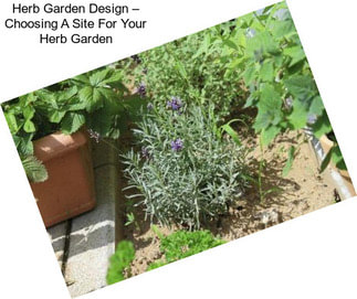 Herb Garden Design – Choosing A Site For Your Herb Garden