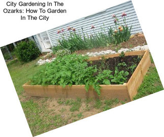 City Gardening In The Ozarks: How To Garden In The City