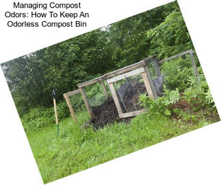 Managing Compost Odors: How To Keep An Odorless Compost Bin