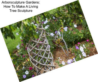 Arborsculpture Gardens: How To Make A Living Tree Sculpture