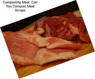 Composting Meat: Can You Compost Meat Scraps