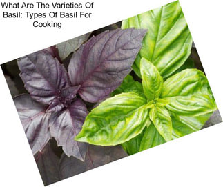 What Are The Varieties Of Basil: Types Of Basil For Cooking