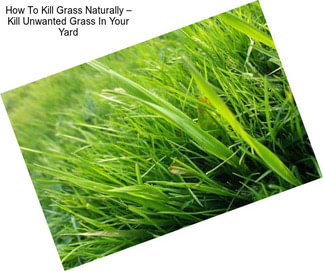 How To Kill Grass Naturally – Kill Unwanted Grass In Your Yard