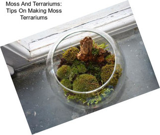 Moss And Terrariums: Tips On Making Moss Terrariums