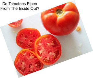 Do Tomatoes Ripen From The Inside Out?