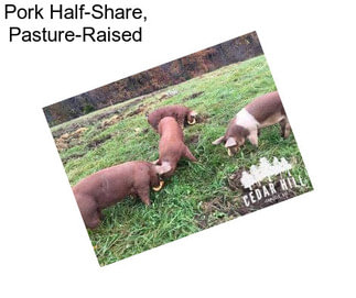 Pork Half-Share, Pasture-Raised