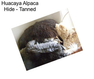 Huacaya Alpaca Hide - Tanned