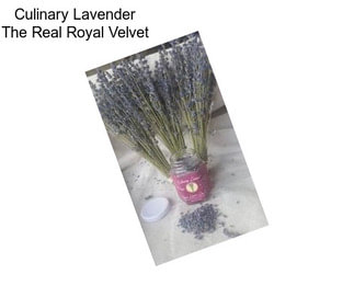 Culinary Lavender The Real Royal Velvet