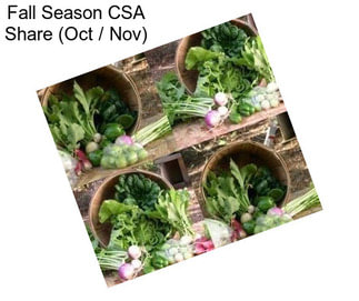 Fall Season CSA Share (Oct / Nov)